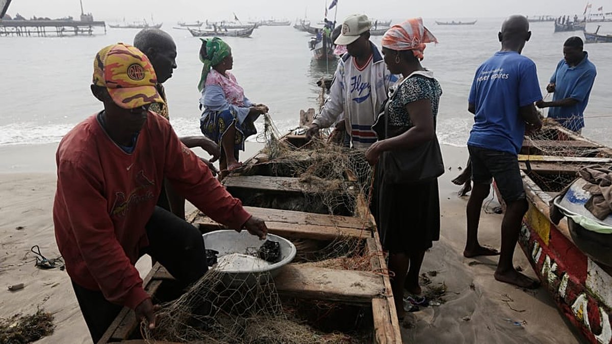 Dhowrka Kalluunka Guitarfish ee Ghana: Ilaalinta Bulshada Deegaanka
