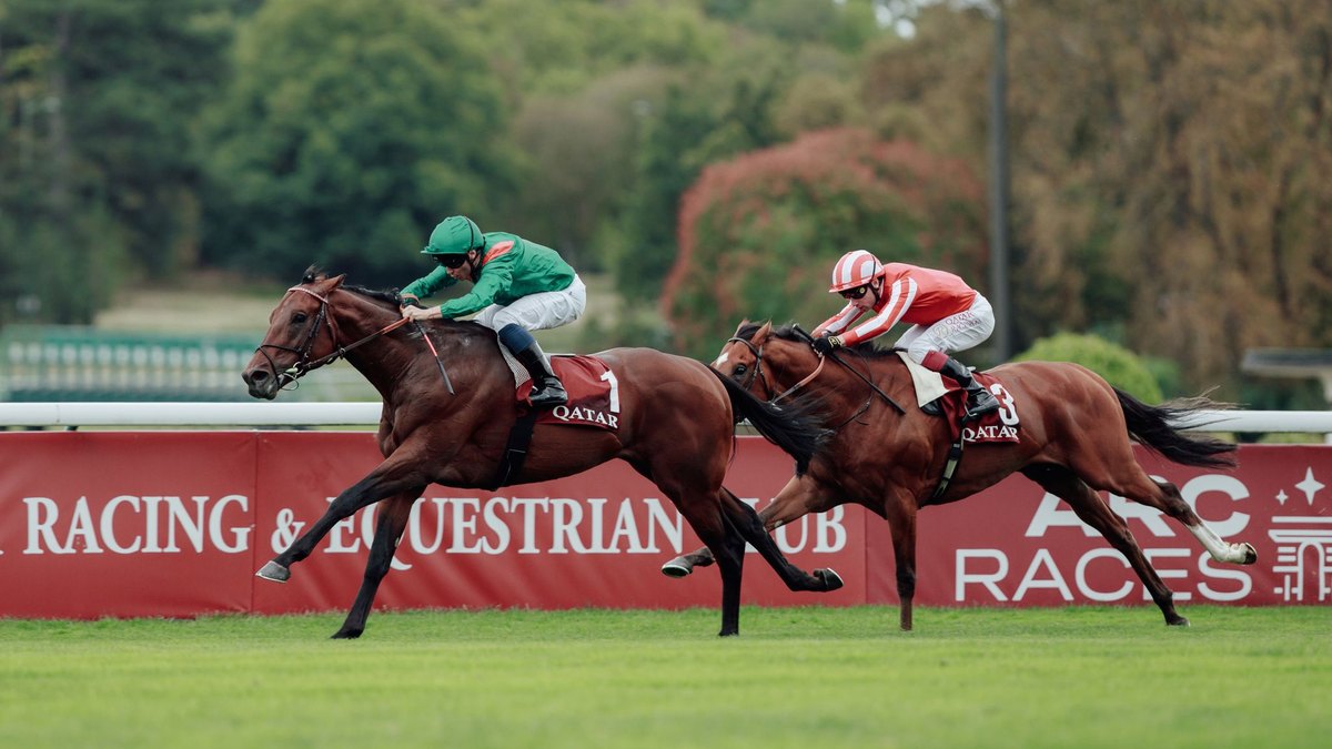Daryz wuxuu ku guuleystay tartanka Prix Foy, isagoo diyaar u ah dib-u-labashada tartanka Arc