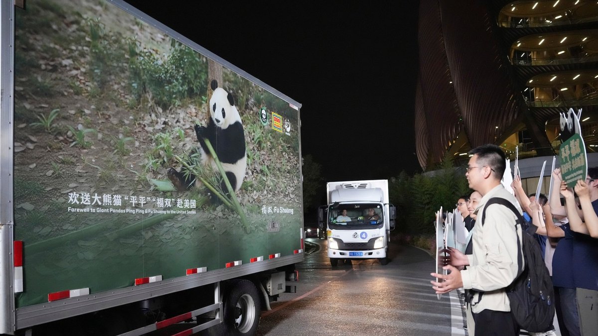 Lab Panda oo Weerarka Soomaaliya: Xukuumadda Shiinaha iyo Mareykanka ayaa heshiis ku gaareysa inay ku biiraan Zoo Atlanta