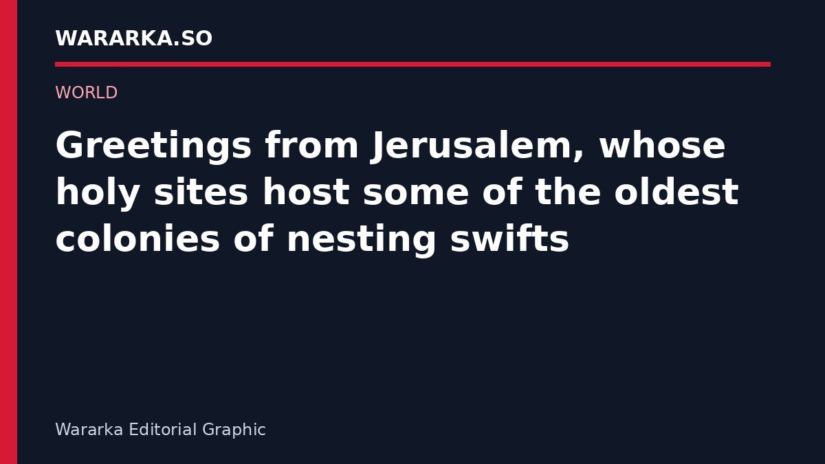 Shimbiraha Swift ee Quduusiga ah ee Jerusalem: Degmooyinka Ugu Da'da Dheer ee Buulleynta