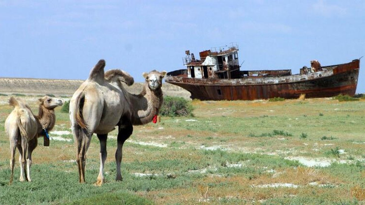 Dhulka Daaqsimeedka: Muhiimadda Ay Leeyihiin Cunnada iyo Nolosha Malaayiin Qof
