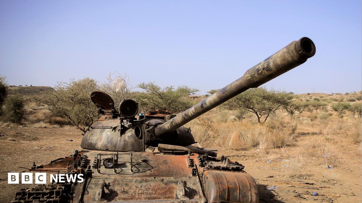 Shan iyo Toban Kooxood oo Dagaal-gelin ah ku dhawaaqeen inay isku xireen si ay dowladda Itoobiya uga saaraan