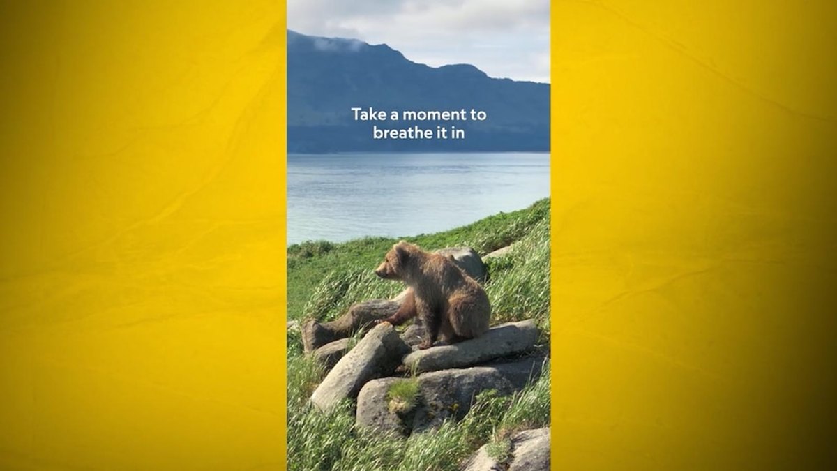 Dhismaha 'Moment on the Earth' ee Nat Geo: Ereyga Beeraha Alaska ee Katmai National Park