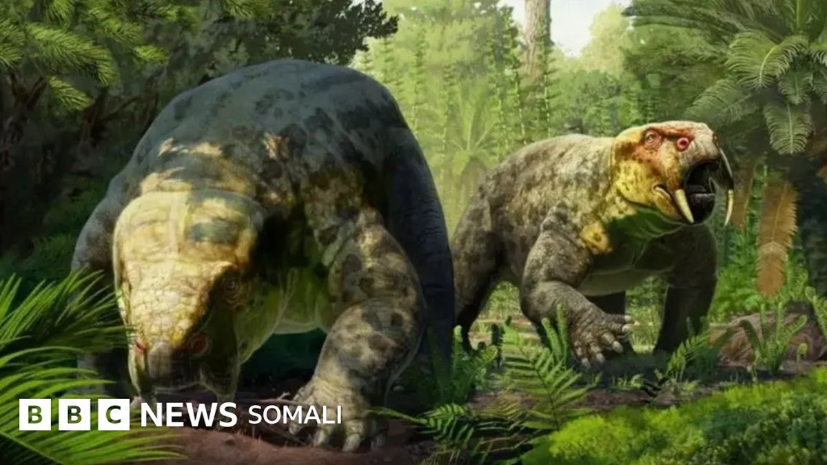 Tansaaniya waxaa laga helay xayawaan qadiimi ah oo 240 milyan sano ka hor ku noolaa