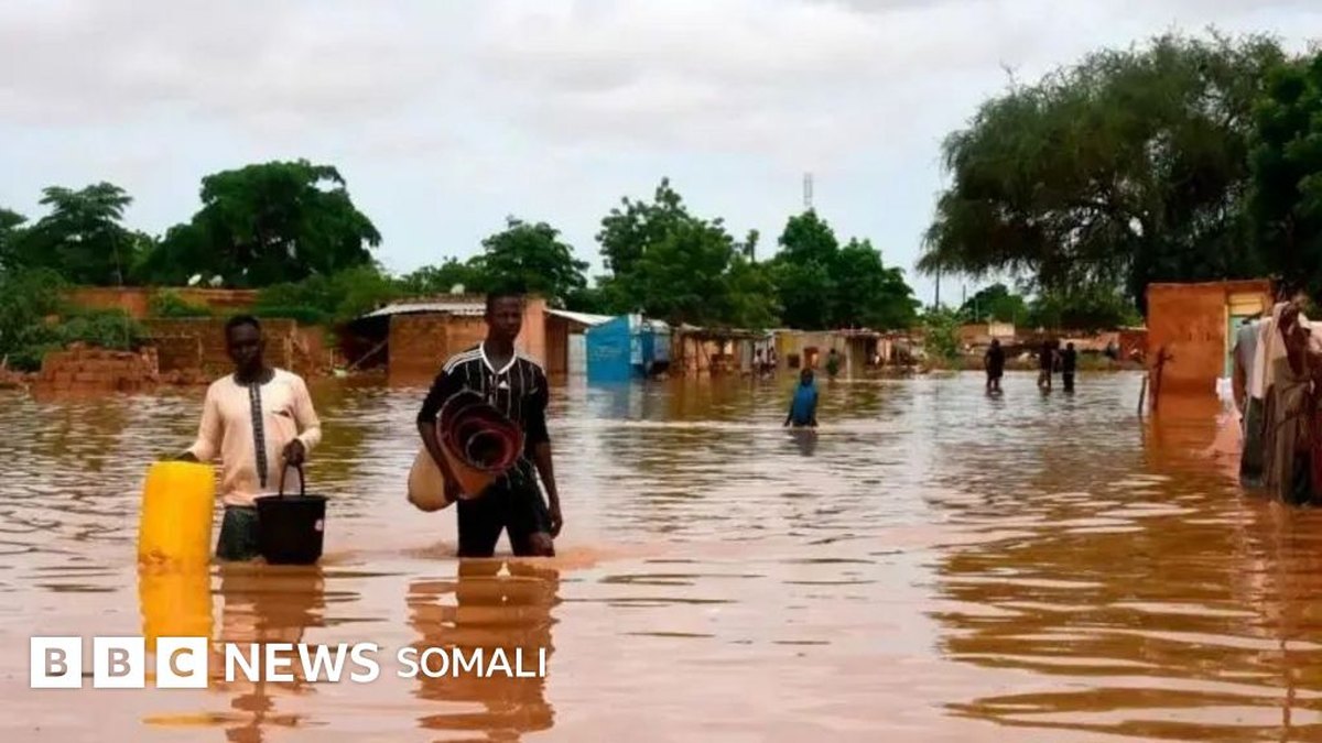 Khataraha ugu weyn ee adduunka sanadka 2026: Saameynteeda tooska ah ee qaaradda Afrika