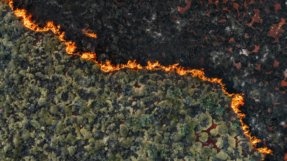 Senators demand crackdown on wildfire “prediction market” bets