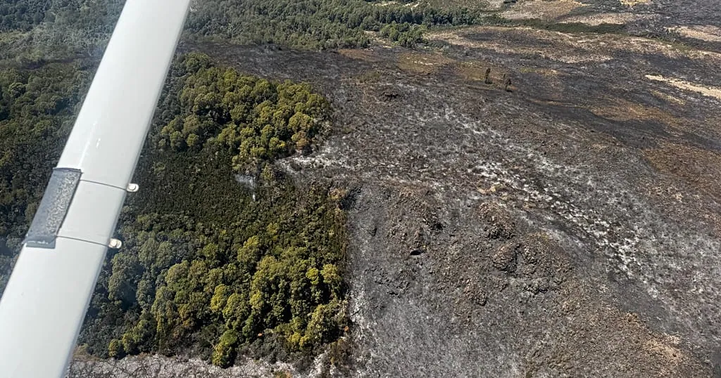Wararka: Concerns over wildlife, water supply, as wildfire rages ac…
